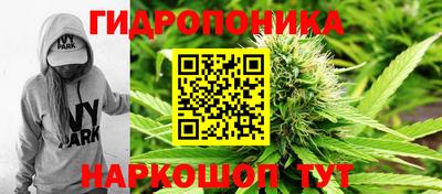 apvp Севастополь