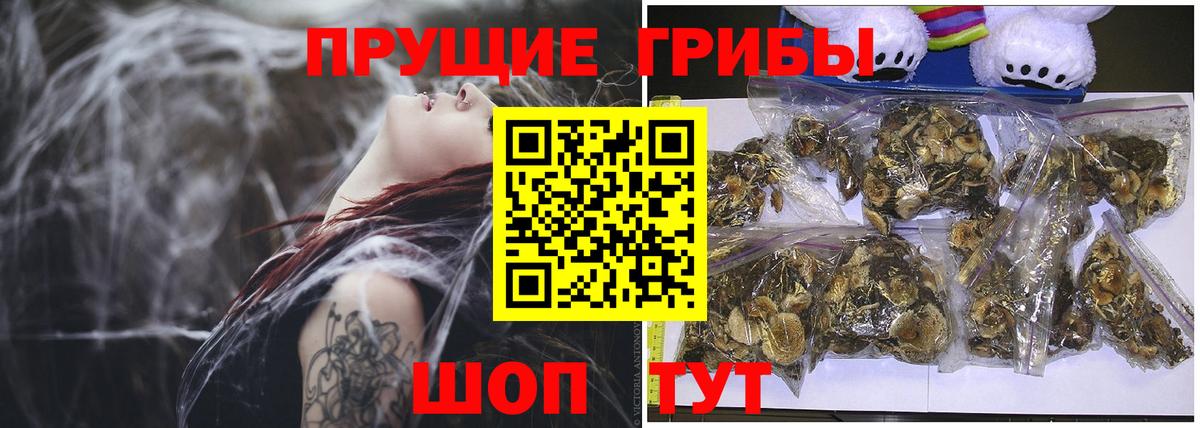Псилоцибиновые грибы Magic Shrooms Кунгур